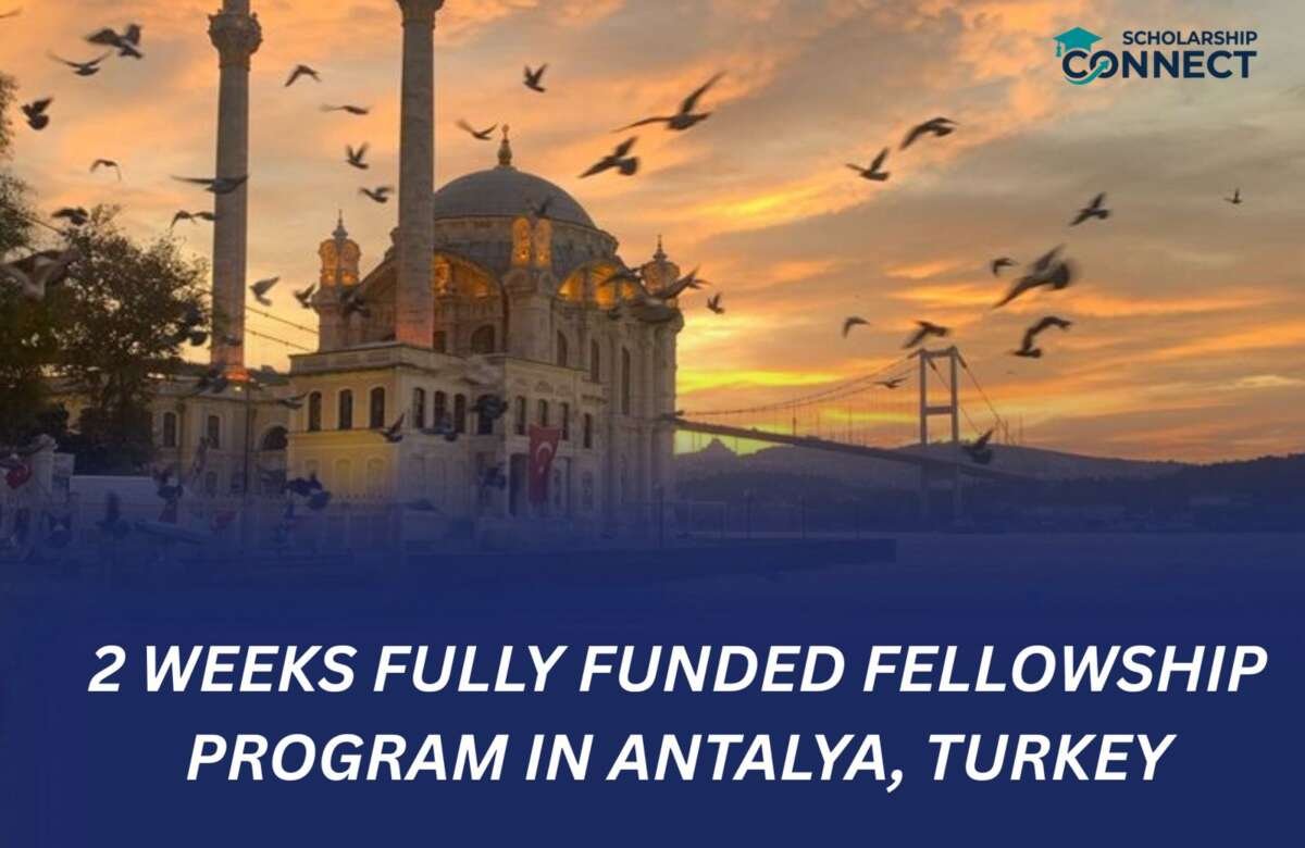 COP31 CCMP Reporting Fellowship 2026 in Türkiye
