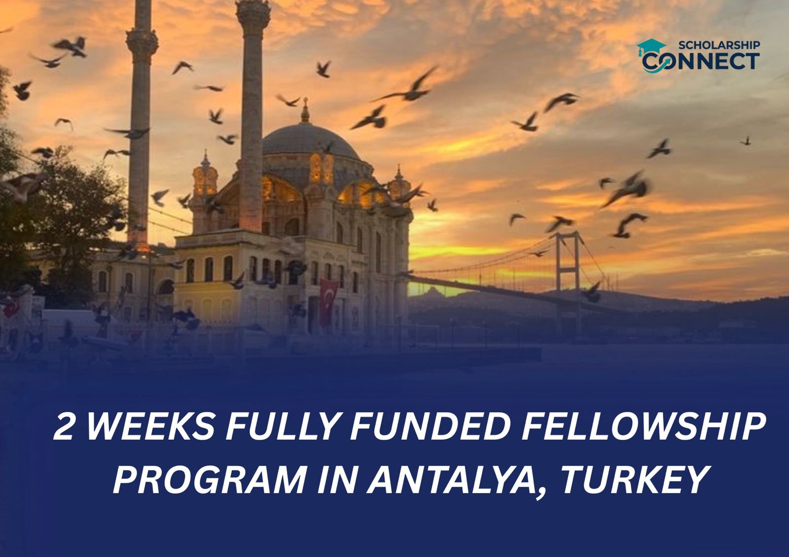  COP31 CCMP Reporting Fellowship 2026 in Türkiye